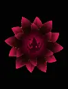 15.webp