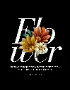 17.webp